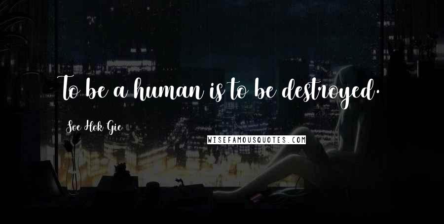Soe Hok Gie Quotes: To be a human is to be destroyed.