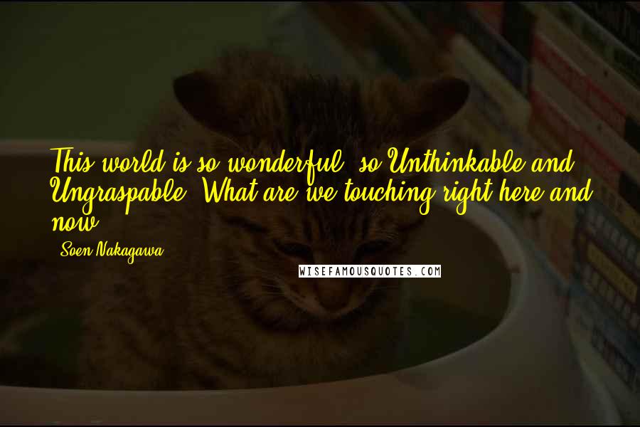 Soen Nakagawa Quotes: This world is so wonderful, so Unthinkable and Ungraspable. What are we touching right here and now?