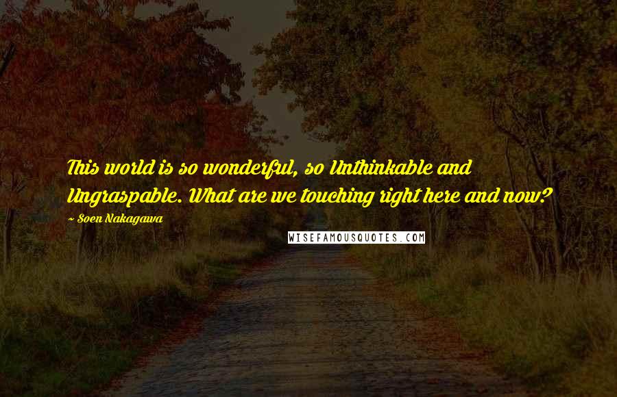 Soen Nakagawa Quotes: This world is so wonderful, so Unthinkable and Ungraspable. What are we touching right here and now?