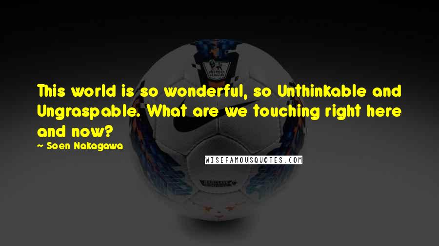 Soen Nakagawa Quotes: This world is so wonderful, so Unthinkable and Ungraspable. What are we touching right here and now?