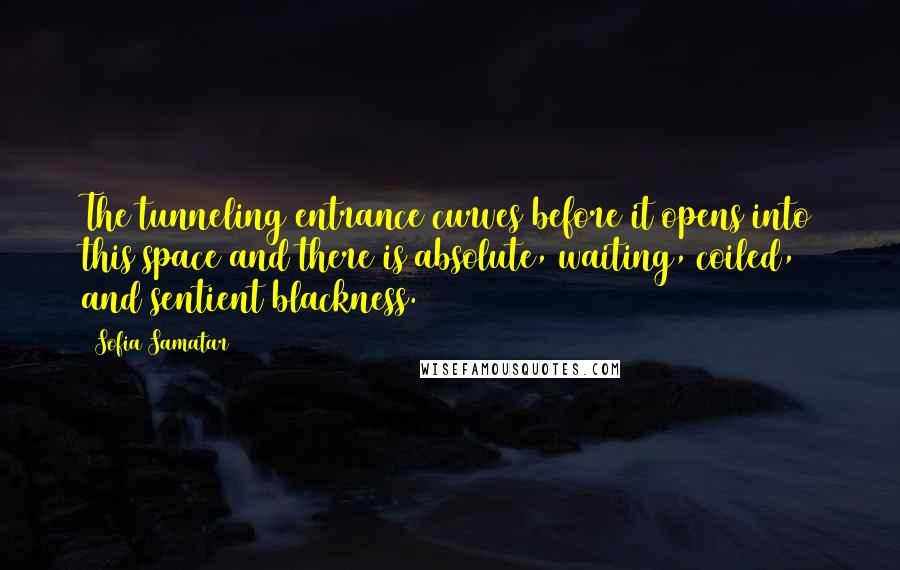 Sofia Samatar Quotes: The tunneling entrance curves before it opens into this space and there is absolute, waiting, coiled, and sentient blackness.