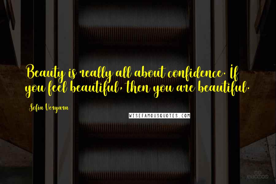 Sofia Vergara Quotes: Beauty is really all about confidence. If you feel beautiful, then you are beautiful.