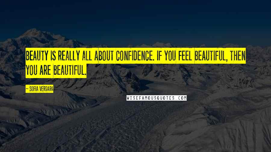 Sofia Vergara Quotes: Beauty is really all about confidence. If you feel beautiful, then you are beautiful.