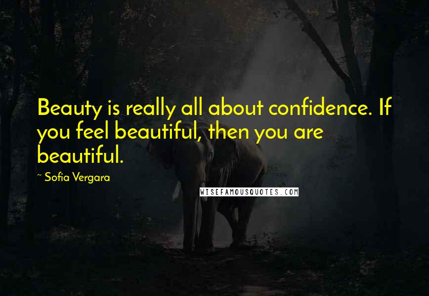 Sofia Vergara Quotes: Beauty is really all about confidence. If you feel beautiful, then you are beautiful.