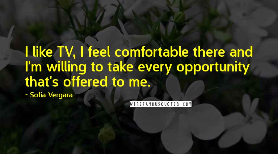 Sofia Vergara Quotes: I like TV, I feel comfortable there and I'm willing to take every opportunity that's offered to me.