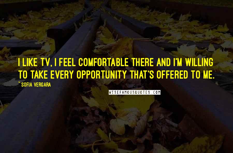 Sofia Vergara Quotes: I like TV, I feel comfortable there and I'm willing to take every opportunity that's offered to me.