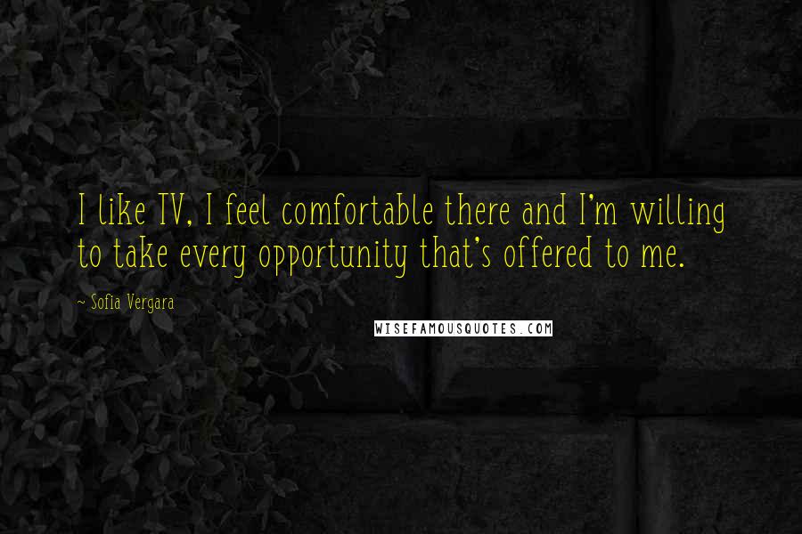 Sofia Vergara Quotes: I like TV, I feel comfortable there and I'm willing to take every opportunity that's offered to me.