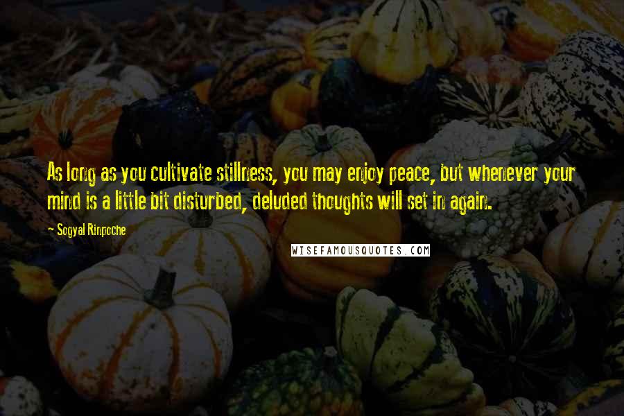 Sogyal Rinpoche Quotes: As long as you cultivate stillness, you may enjoy peace, but whenever your mind is a little bit disturbed, deluded thoughts will set in again.