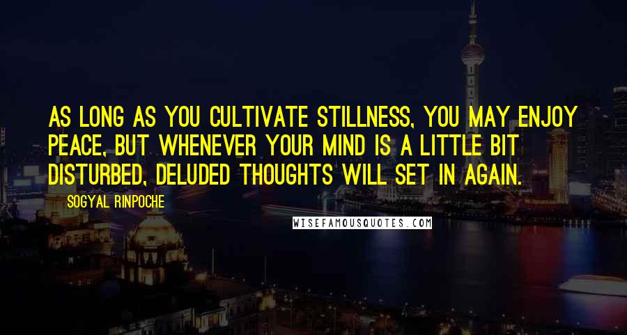 Sogyal Rinpoche Quotes: As long as you cultivate stillness, you may enjoy peace, but whenever your mind is a little bit disturbed, deluded thoughts will set in again.