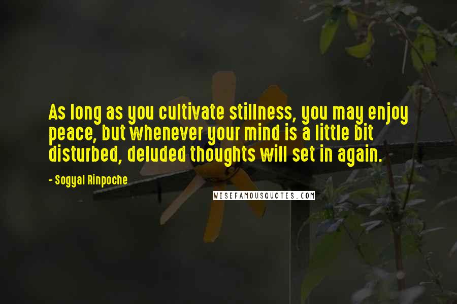 Sogyal Rinpoche Quotes: As long as you cultivate stillness, you may enjoy peace, but whenever your mind is a little bit disturbed, deluded thoughts will set in again.