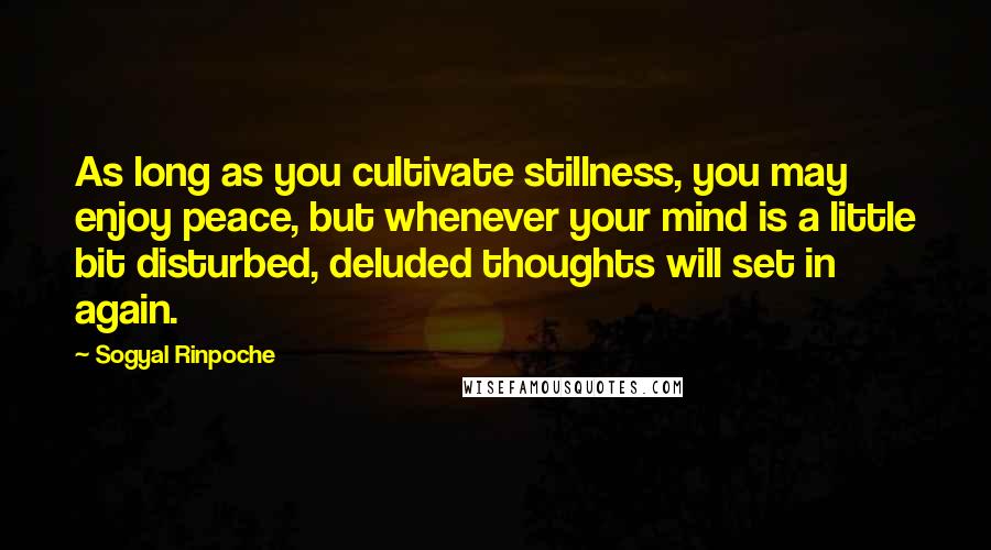 Sogyal Rinpoche Quotes: As long as you cultivate stillness, you may enjoy peace, but whenever your mind is a little bit disturbed, deluded thoughts will set in again.