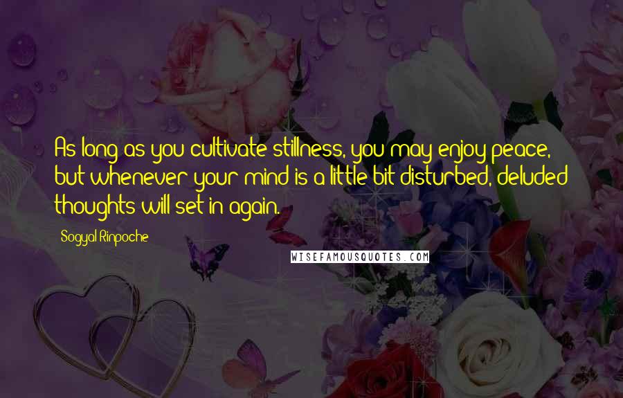 Sogyal Rinpoche Quotes: As long as you cultivate stillness, you may enjoy peace, but whenever your mind is a little bit disturbed, deluded thoughts will set in again.