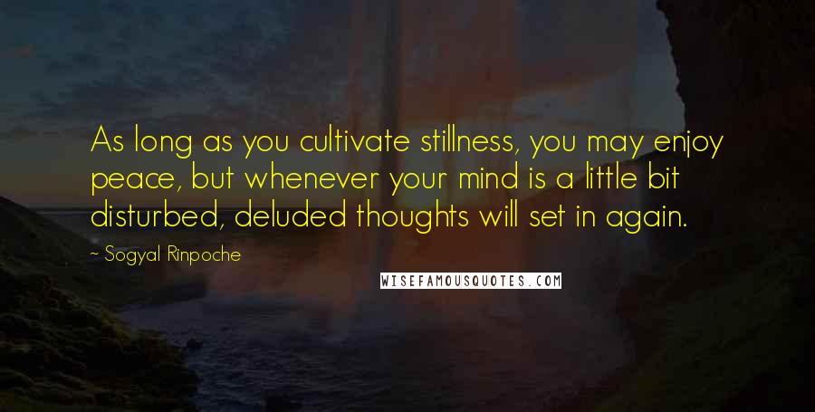 Sogyal Rinpoche Quotes: As long as you cultivate stillness, you may enjoy peace, but whenever your mind is a little bit disturbed, deluded thoughts will set in again.