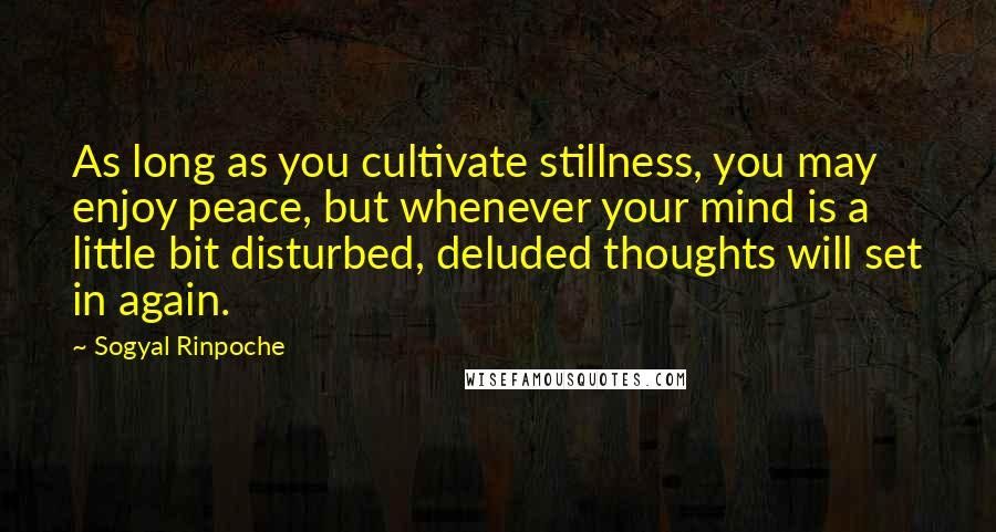 Sogyal Rinpoche Quotes: As long as you cultivate stillness, you may enjoy peace, but whenever your mind is a little bit disturbed, deluded thoughts will set in again.