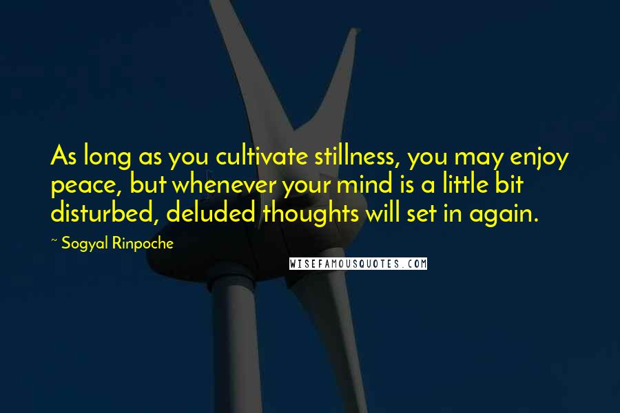 Sogyal Rinpoche Quotes: As long as you cultivate stillness, you may enjoy peace, but whenever your mind is a little bit disturbed, deluded thoughts will set in again.