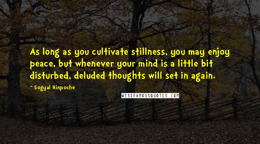 Sogyal Rinpoche Quotes: As long as you cultivate stillness, you may enjoy peace, but whenever your mind is a little bit disturbed, deluded thoughts will set in again.