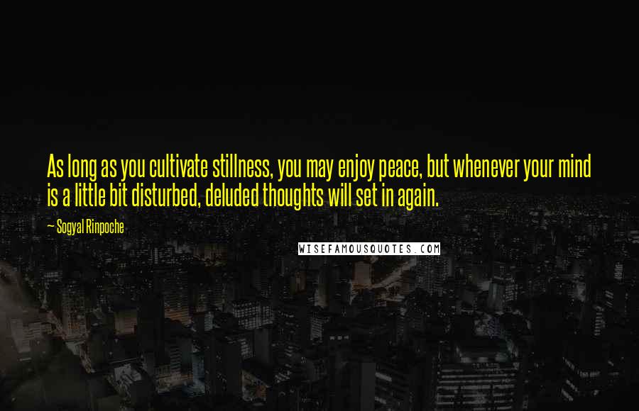 Sogyal Rinpoche Quotes: As long as you cultivate stillness, you may enjoy peace, but whenever your mind is a little bit disturbed, deluded thoughts will set in again.