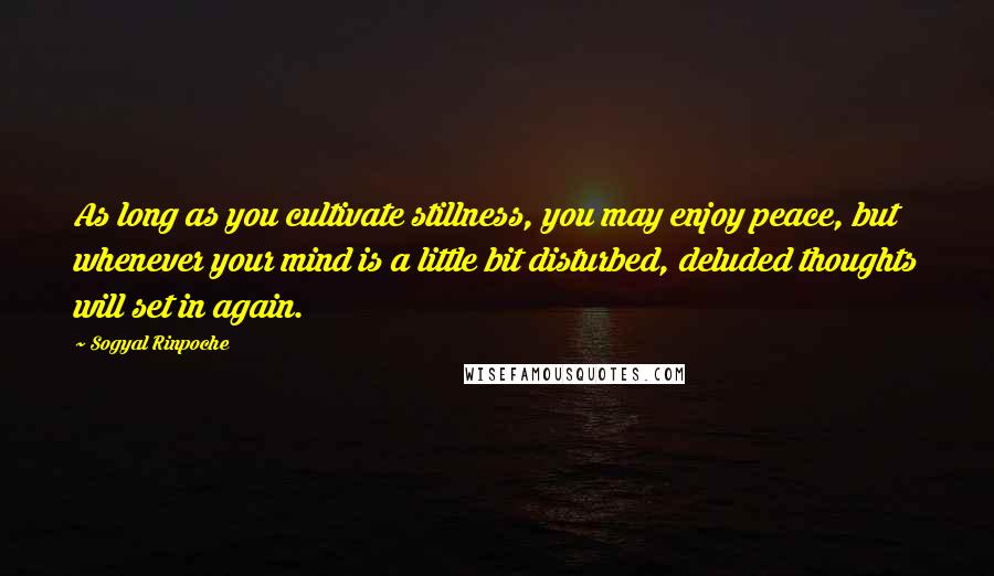 Sogyal Rinpoche Quotes: As long as you cultivate stillness, you may enjoy peace, but whenever your mind is a little bit disturbed, deluded thoughts will set in again.