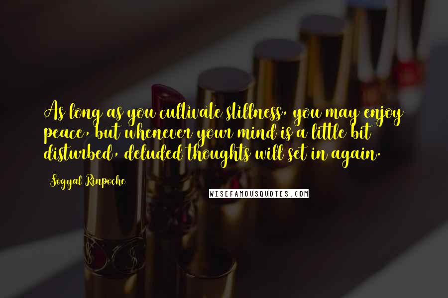 Sogyal Rinpoche Quotes: As long as you cultivate stillness, you may enjoy peace, but whenever your mind is a little bit disturbed, deluded thoughts will set in again.