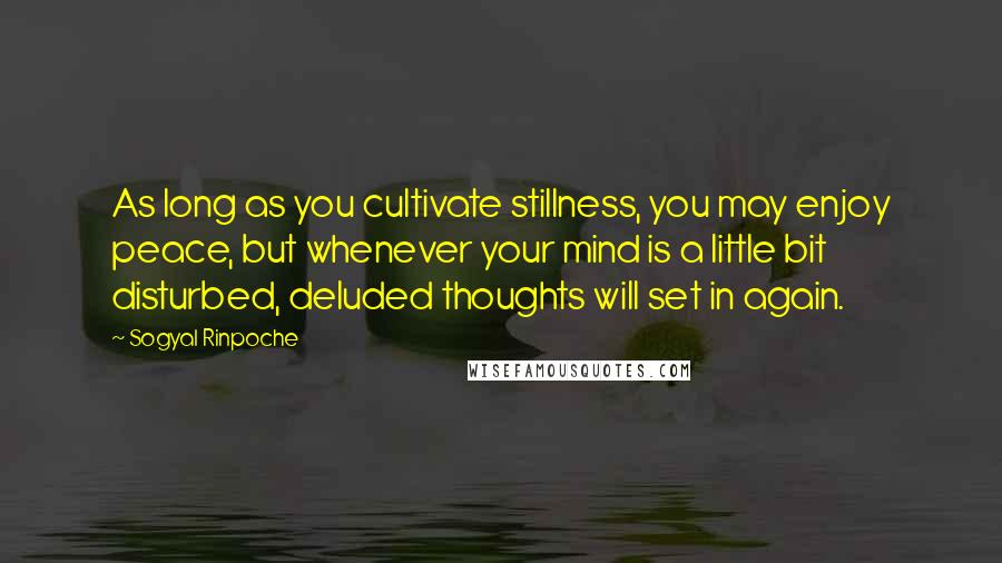 Sogyal Rinpoche Quotes: As long as you cultivate stillness, you may enjoy peace, but whenever your mind is a little bit disturbed, deluded thoughts will set in again.