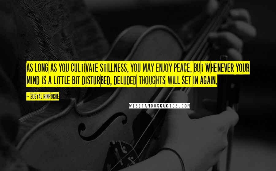 Sogyal Rinpoche Quotes: As long as you cultivate stillness, you may enjoy peace, but whenever your mind is a little bit disturbed, deluded thoughts will set in again.