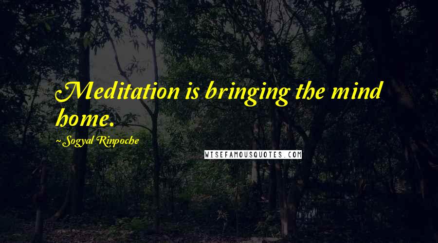 Sogyal Rinpoche Quotes: Meditation is bringing the mind home.