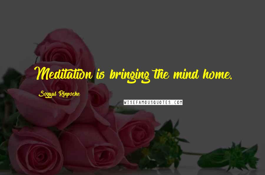 Sogyal Rinpoche Quotes: Meditation is bringing the mind home.