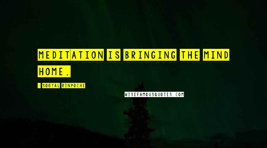 Sogyal Rinpoche Quotes: Meditation is bringing the mind home.