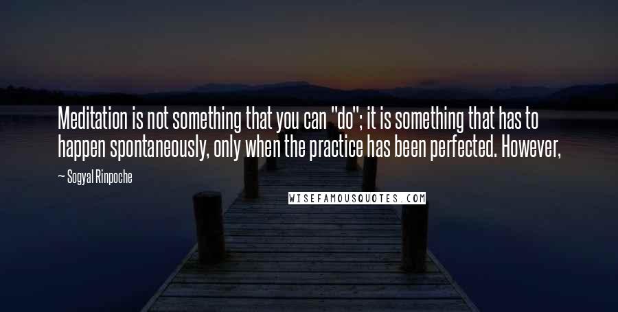 Sogyal Rinpoche Quotes: Meditation is not something that you can "do"; it is something that has to happen spontaneously, only when the practice has been perfected. However,