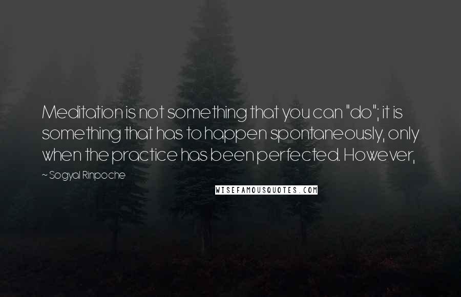Sogyal Rinpoche Quotes: Meditation is not something that you can "do"; it is something that has to happen spontaneously, only when the practice has been perfected. However,