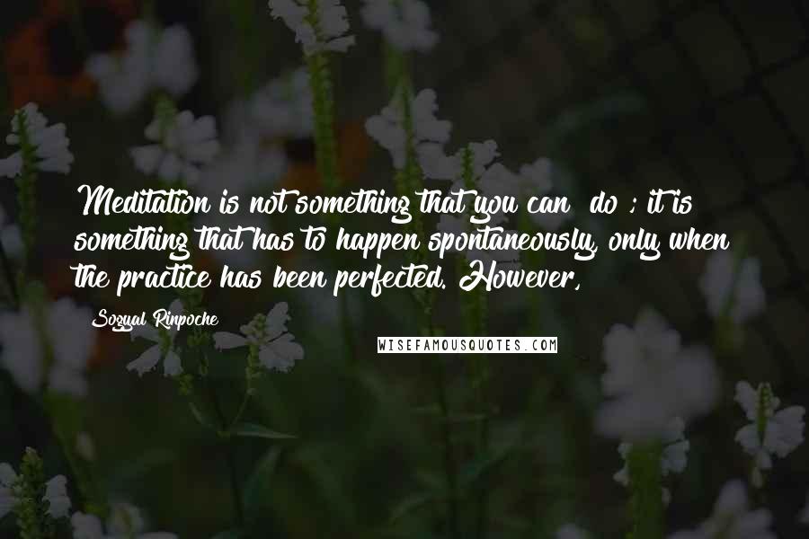 Sogyal Rinpoche Quotes: Meditation is not something that you can "do"; it is something that has to happen spontaneously, only when the practice has been perfected. However,