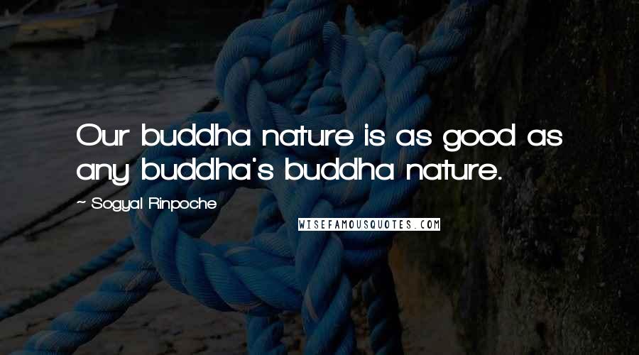 Sogyal Rinpoche Quotes: Our buddha nature is as good as any buddha's buddha nature.