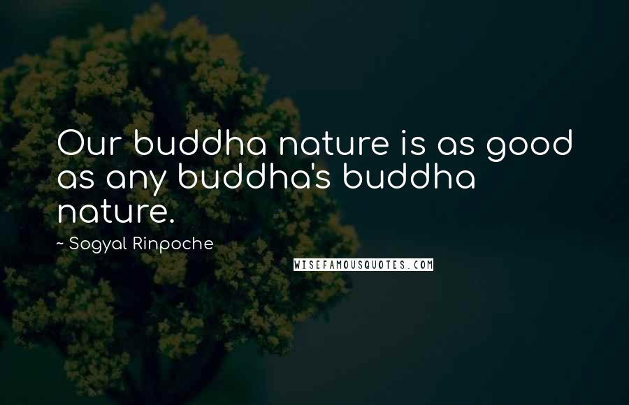 Sogyal Rinpoche Quotes: Our buddha nature is as good as any buddha's buddha nature.