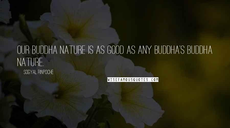 Sogyal Rinpoche Quotes: Our buddha nature is as good as any buddha's buddha nature.