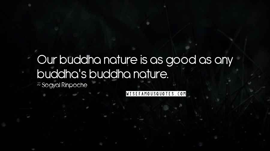 Sogyal Rinpoche Quotes: Our buddha nature is as good as any buddha's buddha nature.