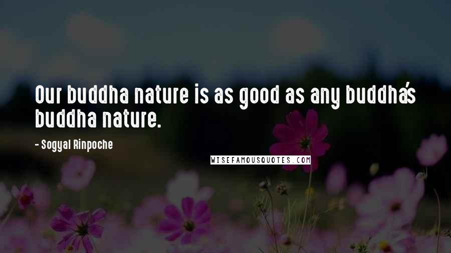 Sogyal Rinpoche Quotes: Our buddha nature is as good as any buddha's buddha nature.