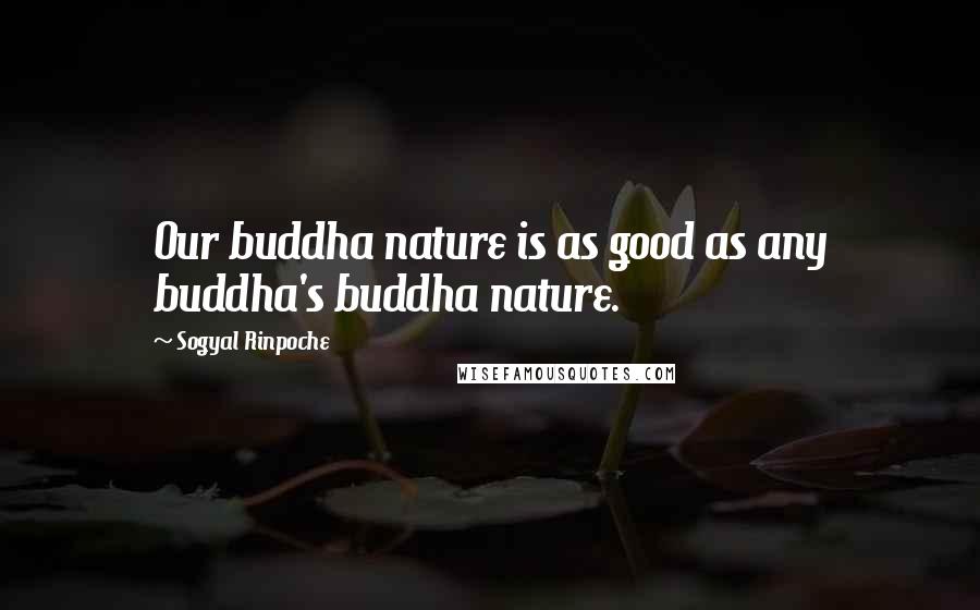 Sogyal Rinpoche Quotes: Our buddha nature is as good as any buddha's buddha nature.