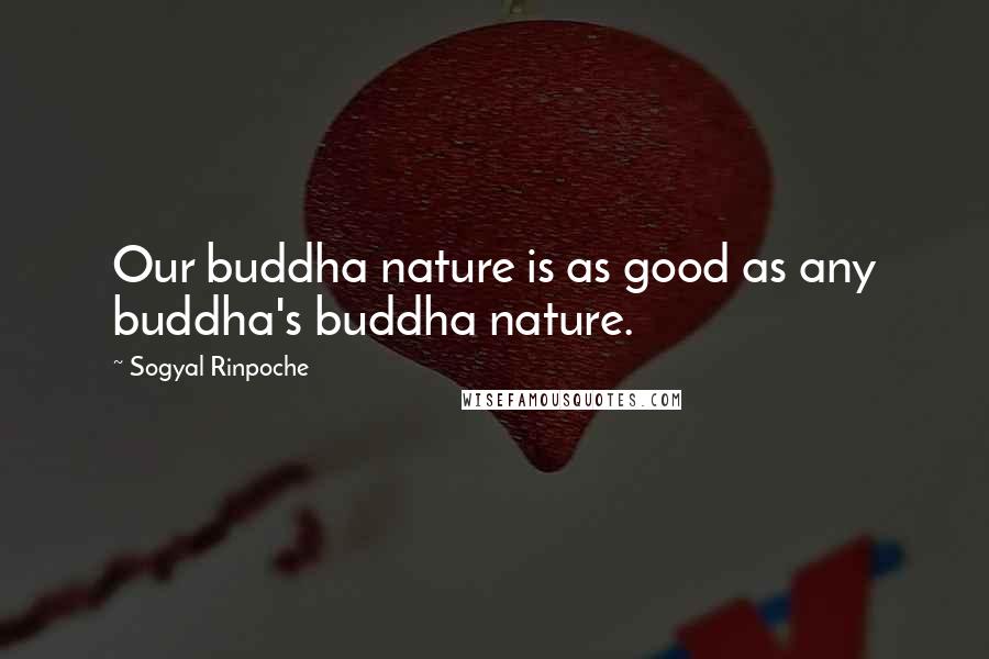 Sogyal Rinpoche Quotes: Our buddha nature is as good as any buddha's buddha nature.