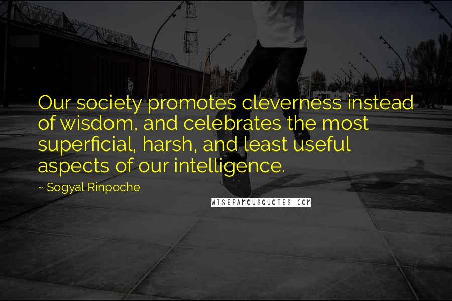 Sogyal Rinpoche Quotes: Our society promotes cleverness instead of wisdom, and celebrates the most superficial, harsh, and least useful aspects of our intelligence.