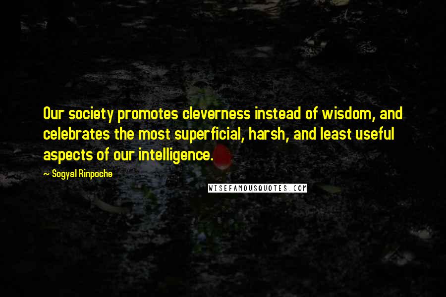 Sogyal Rinpoche Quotes: Our society promotes cleverness instead of wisdom, and celebrates the most superficial, harsh, and least useful aspects of our intelligence.