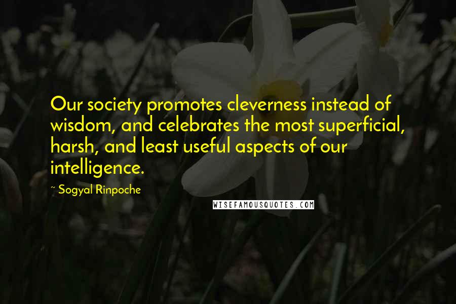 Sogyal Rinpoche Quotes: Our society promotes cleverness instead of wisdom, and celebrates the most superficial, harsh, and least useful aspects of our intelligence.