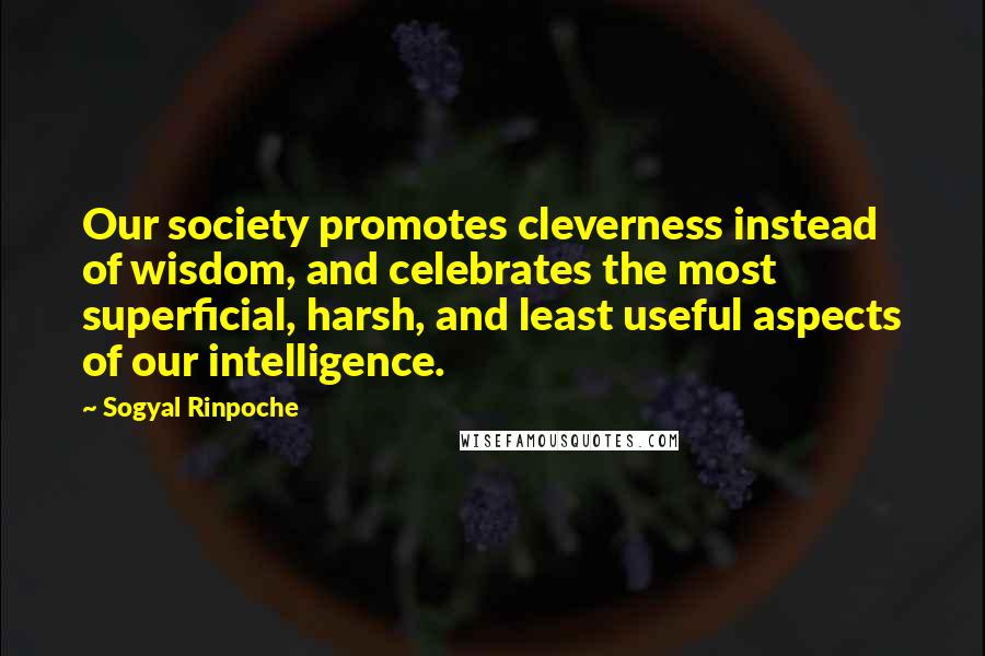 Sogyal Rinpoche Quotes: Our society promotes cleverness instead of wisdom, and celebrates the most superficial, harsh, and least useful aspects of our intelligence.