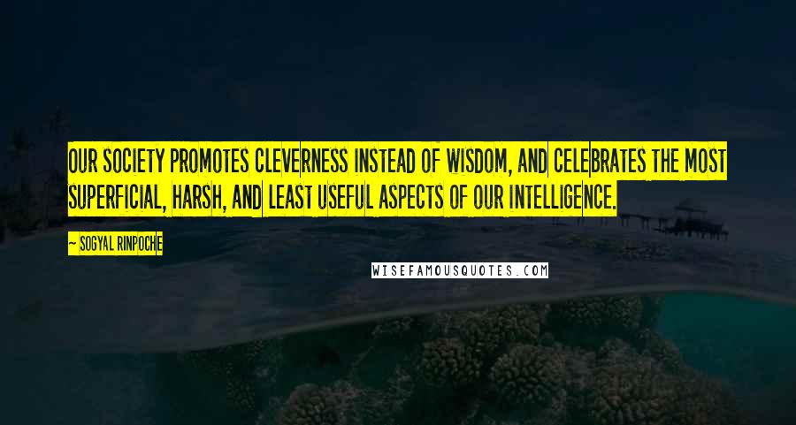 Sogyal Rinpoche Quotes: Our society promotes cleverness instead of wisdom, and celebrates the most superficial, harsh, and least useful aspects of our intelligence.