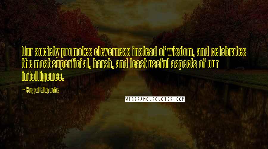 Sogyal Rinpoche Quotes: Our society promotes cleverness instead of wisdom, and celebrates the most superficial, harsh, and least useful aspects of our intelligence.