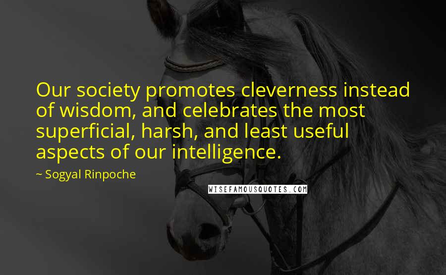 Sogyal Rinpoche Quotes: Our society promotes cleverness instead of wisdom, and celebrates the most superficial, harsh, and least useful aspects of our intelligence.