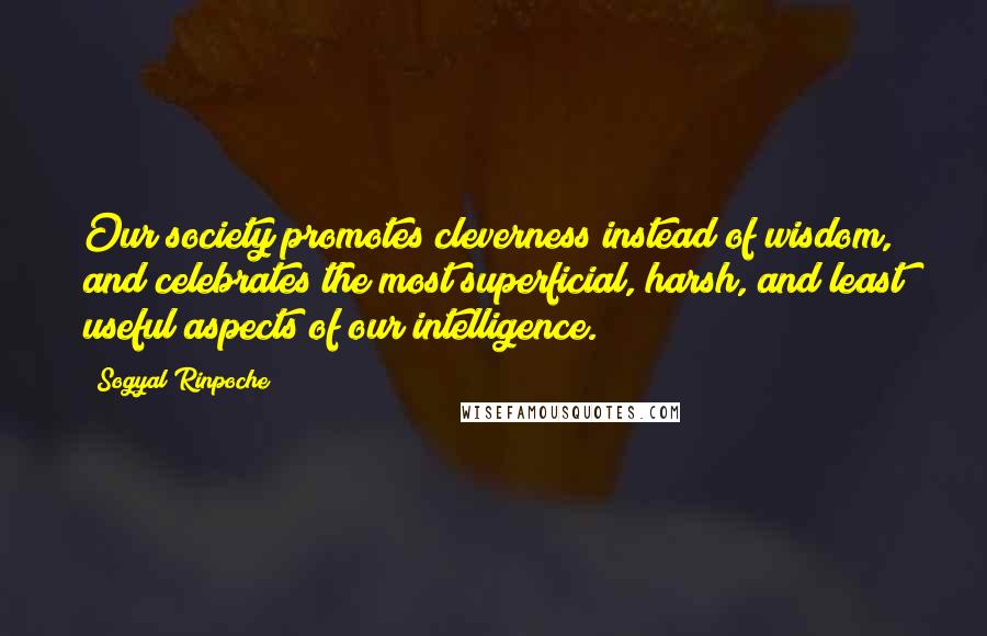 Sogyal Rinpoche Quotes: Our society promotes cleverness instead of wisdom, and celebrates the most superficial, harsh, and least useful aspects of our intelligence.