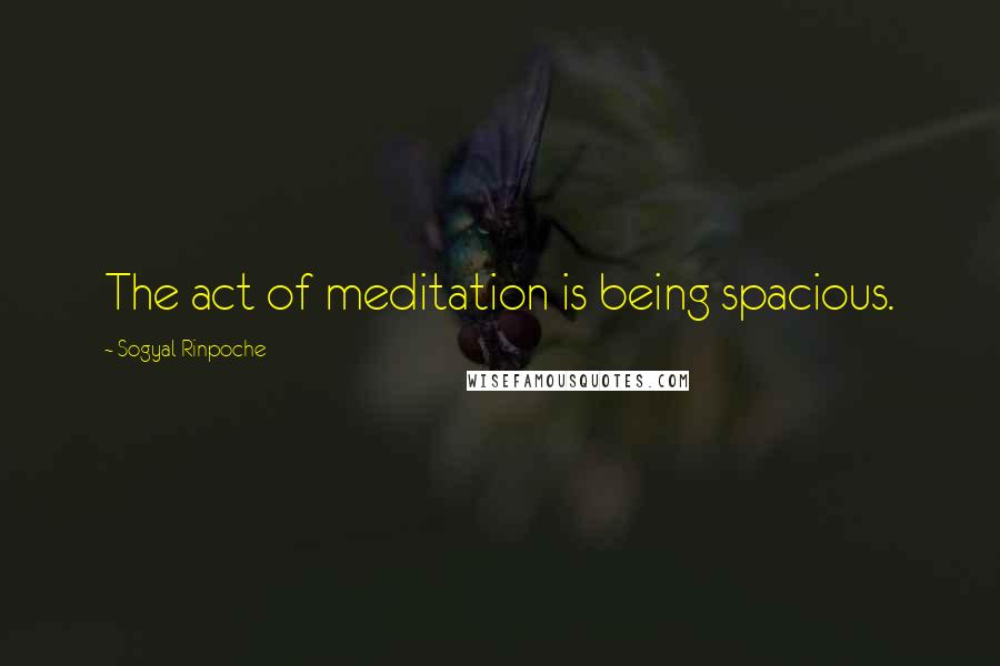 Sogyal Rinpoche Quotes: The act of meditation is being spacious.