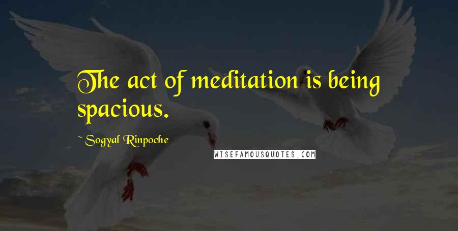 Sogyal Rinpoche Quotes: The act of meditation is being spacious.