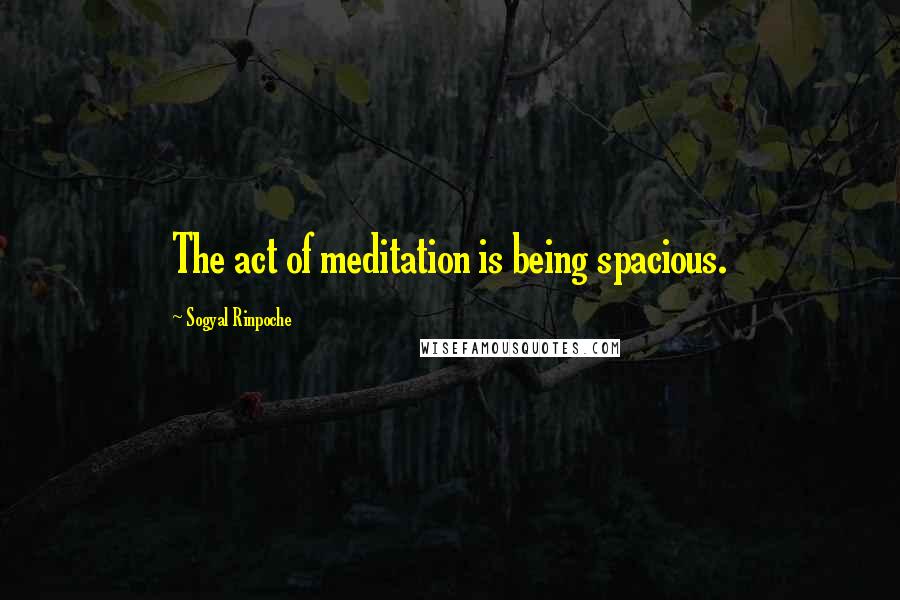 Sogyal Rinpoche Quotes: The act of meditation is being spacious.