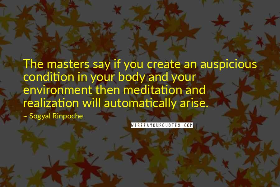 Sogyal Rinpoche Quotes: The masters say if you create an auspicious condition in your body and your environment then meditation and realization will automatically arise.